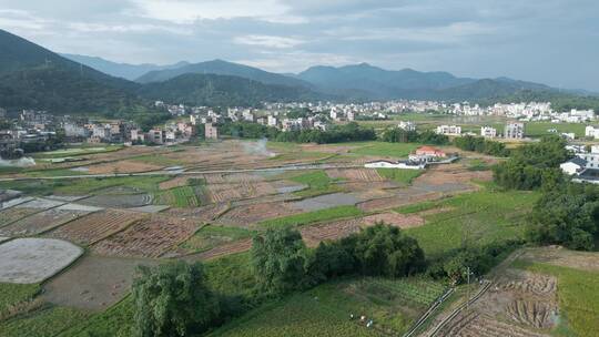 乡村公路视频田野农田乡镇航拍