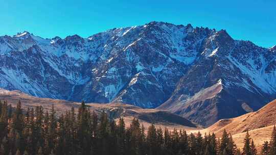 航拍祁连山森林雪山