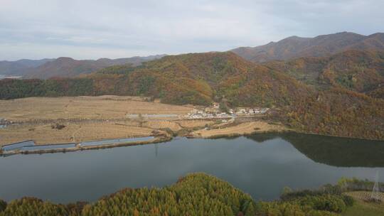 航拍本溪桓仁米仓沟浑江秋景