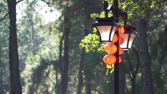 清晨公园路灯杆上橘黄色新年灯笼在风中摆动