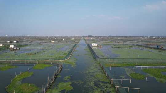 苏州阳澄湖大闸蟹养殖基地航拍