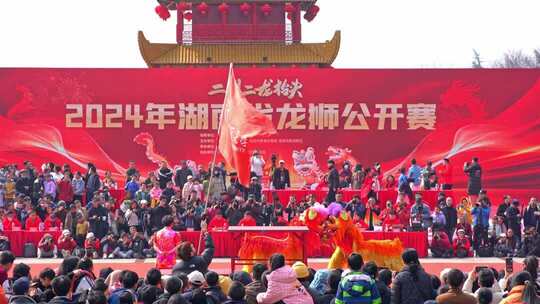 喜庆祥和的舞龙舞狮表演