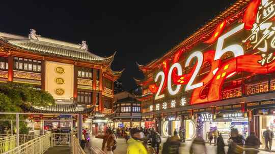 上海豫园2025年灯会蛇年春节新年延时