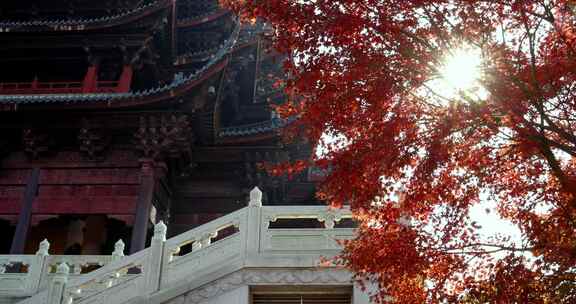 江苏苏州重元寺古风建筑旁色彩鲜艳的枫叶