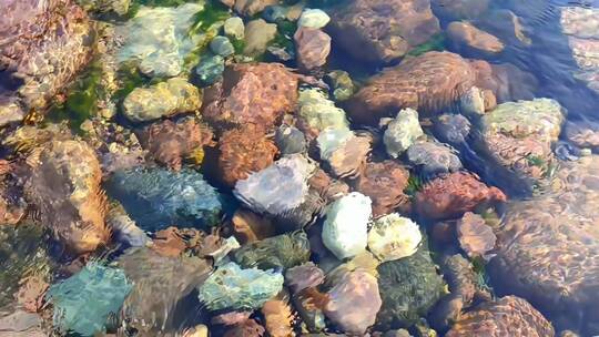 4k溪水石头清澈河水小溪大自然