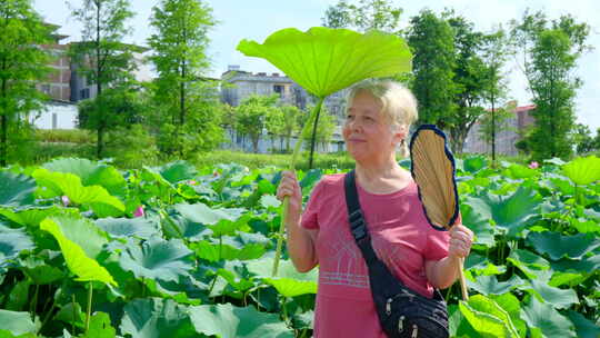 老奶奶夏天池塘边乘凉