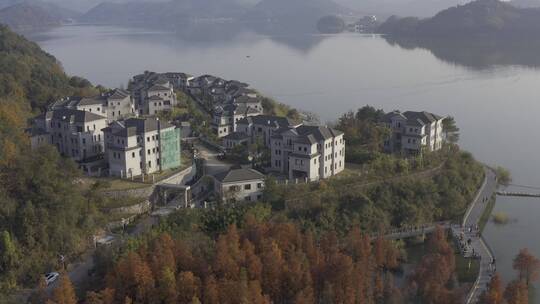 临安青山湖水杉