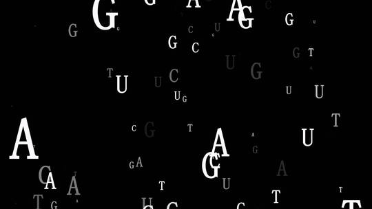 化学生物碱基粒子冲屏视频带通道