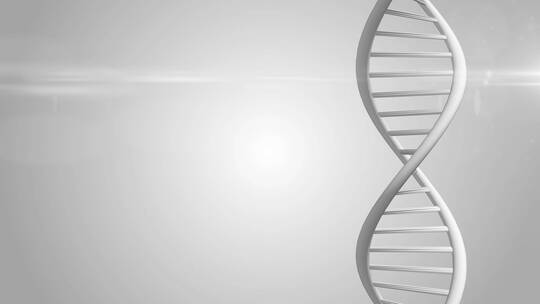 CRISPR Cas9基因操作DNA修复机制基因工程