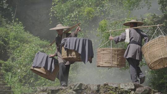 茶农 制茶 传统手艺