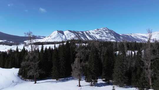 航拍新疆冬季喀纳斯河流晨雾雪山森林雪景