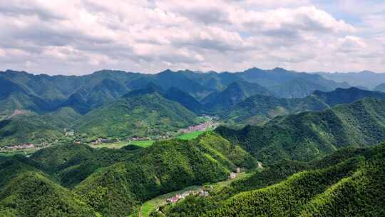 航拍江南浙江山区竹林竹海竹山