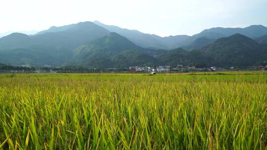 湖南乡村田园自然风光