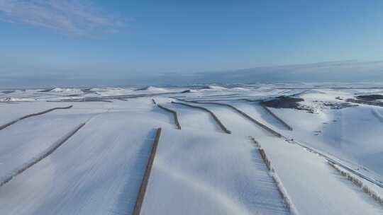 呼伦贝尔垦区积雪覆盖的农田雪景防风林带
