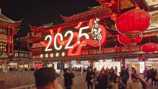 2025年上海豫园民俗艺术灯会春节新年