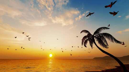 黄昏海上夕阳海滩海鸥自由飞翔