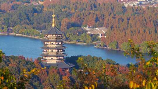 杭州雷峰塔秋天风景