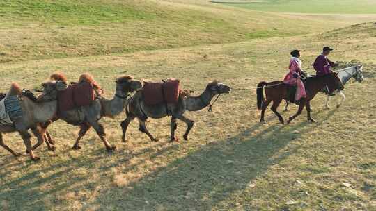 【10条合集】蒙古族民俗文化-158