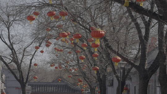 北京街头年味  胡同新年氛围