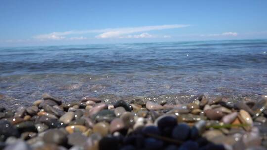 青海湖 湖边 湟鱼 旅行