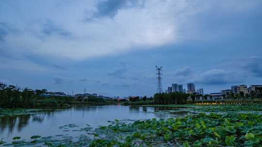 荷花池 荷塘 池塘 湿地公园 延时