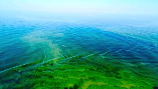 浅海鸟瞰图