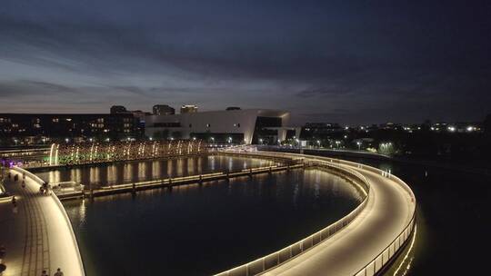 上海之鱼夜景