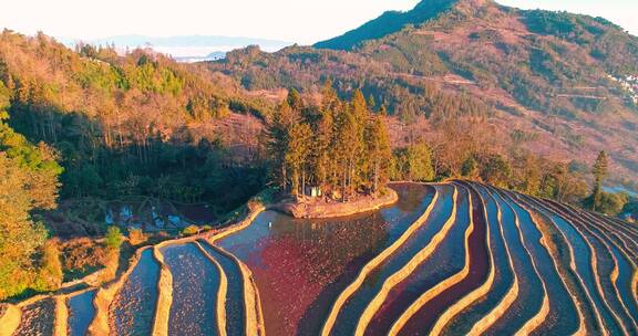 航拍红河元阳哈尼梯田日出云海