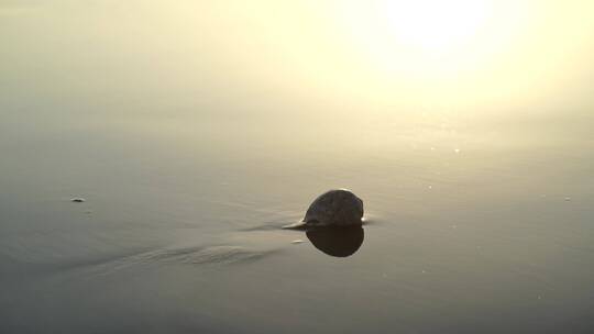 阳光沙滩下海螺贝壳海水浪花海滩沙子夕阳光