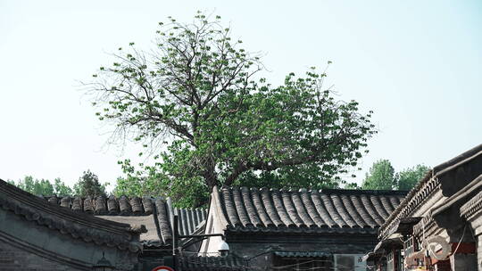 老北京生活 北京空镜头视频素材模板下载