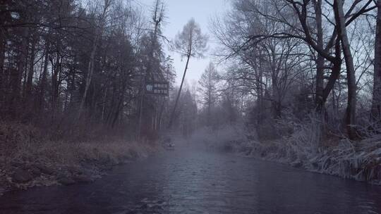 森林中雾气蒸腾的小溪