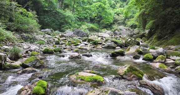 山间溪流  小溪  河道