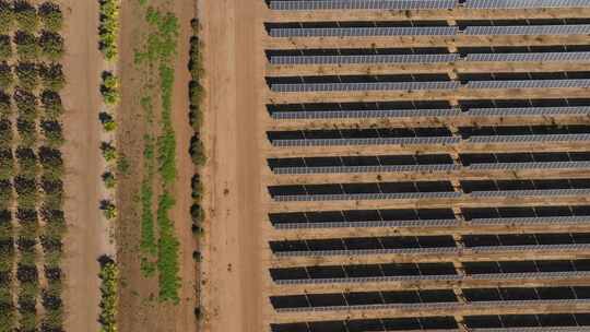 大规模自动化农田太阳能灌溉