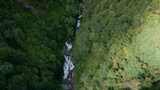 云南风光普洱亚热带原始森林深涧小溪高清在线视频素材下载