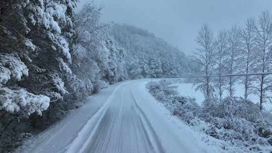 汽车行驶在冬天的林海雪原