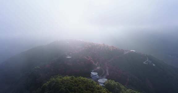 8K-大理无量山樱花谷冬樱花清晨云海航拍