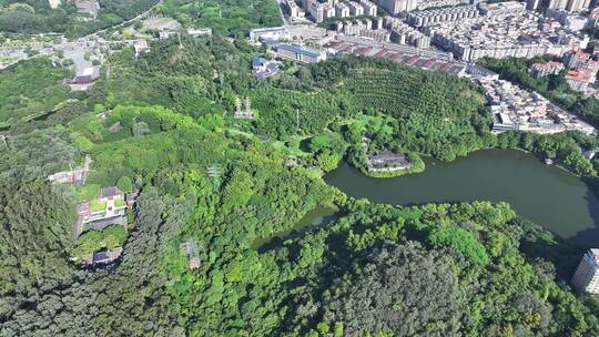 东莞黄旗山公园航拍