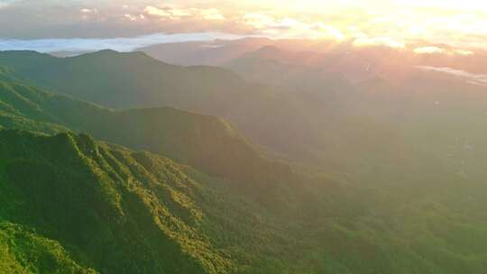 海南五指山热带雨林国家森林公园日出云海