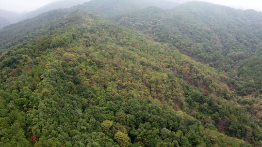 山间森林绿色生态航拍