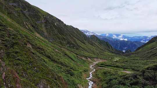 四川甘孜磨西镇燕子沟高山草甸风光