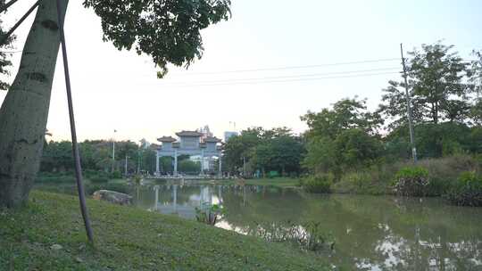 阳光照射在花草树木上自然风景