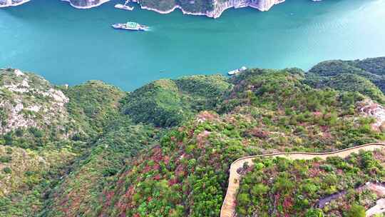 三峡红叶