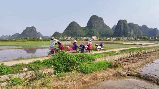 广西春耕劳作场景