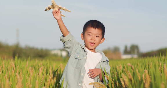 小朋友稻田手拂麦穗玩耍玩飞机