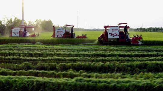 农业根基农忙机械化收割