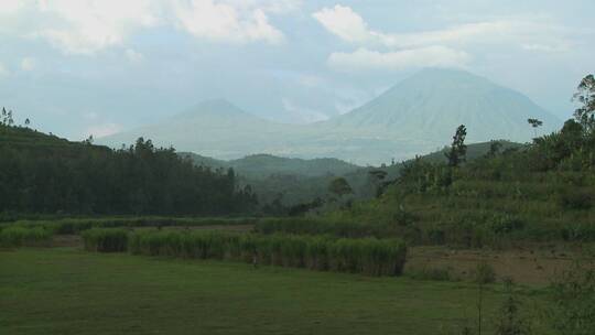 卢旺达刚果边境拍摄维龙加火山视频素材模板下载
