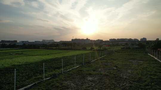 夕阳下的城郊农业基地航拍