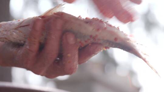 安徽传统臭鳜鱼腌制发酵视频素材模板下载