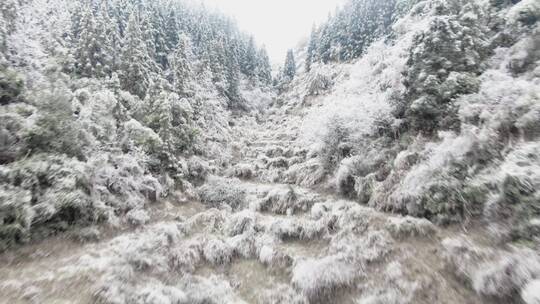 航拍山峰雾凇