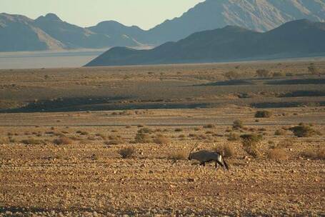 余晖离调 哀伤 大提琴 旧巷 电影 纪 余晖离调 哀伤 大提琴 旧巷 电影 纪